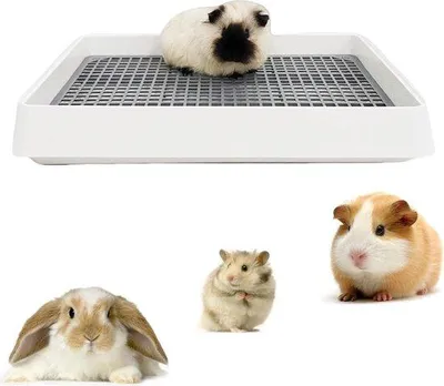 Produktbild von Famanu Toilett mit Gitter groß - Trainer für Kleintiere, Ecktoilette für Käfige - für Meerschweinchen, Hamster, Frettchen, Chinchillas (S)