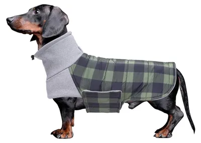 Produktbild von Hundemantel Winter warm wasserdicht mit Leinenloch für Dackel und kleine Hunde Grün Kariert Größe S