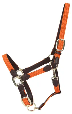 Image de Kentucky Horsewear Licol d'écurie en nylon plaqué