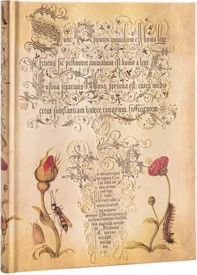 Image de Cahier de notes cartonné Rose flamande ultra-linéaire