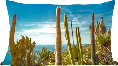 Produktbild von MuchoWow® Zierkissen Sofakissen Wohnzimmer Dekokissen 50x30 cm Kaktus - Meer - Himmel - Wohnzimmerdekoration - Polster mit Photo