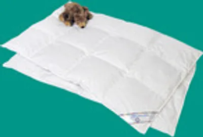 Produktbild von Kinderbettdecke 100x135 Kinder Daunendecke 100 % Daune sehr leicht