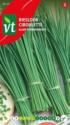Obrázok produktu pre Semienka pažítky - približne 1 gr | VT_2935