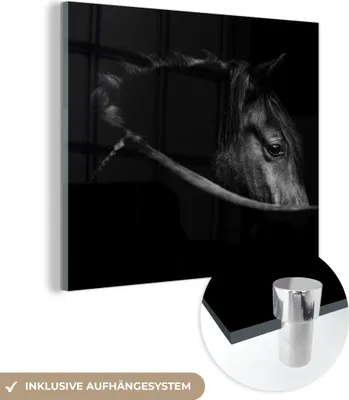 Produktbild von MuchoWow Glasbilder - Bilder auf Wandbild - Foto auf Glas Pferde - Porträt - Schwarz - Tiere 20x20 cm Wanddekoration aus Glas - Acrylglasbild - Acrylbilder - Bilder von Glas - Moderne