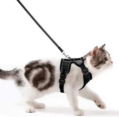 Produktbild von Atmungsaktives reflektierendes Katzenharness mit Katzenleine Brustgeschirr für kleine Hunde schwarze XS