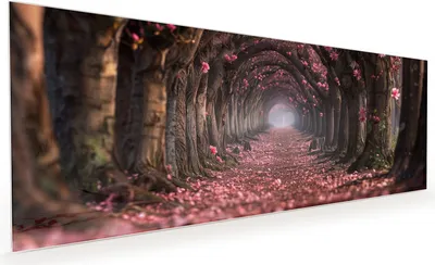 Produktbild von Küchenrückwand Spritzschutz Glas mit Motiv Blütenweg 40 x 40 cm
