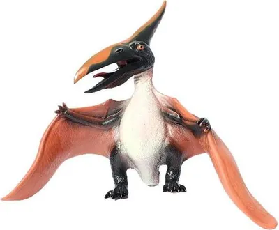 Image de Pteranodon grand E-396 97382
