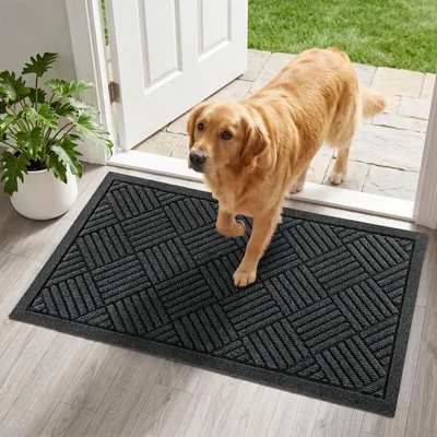 Produktbild von Fußmatte Außen 43 x 75 cm Dunkelgrau Schmutzfangmatte Waschbar Rutschfest