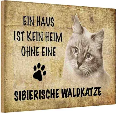 Produktbild von vianmo Holzschild 12x18 cm sibierische Waldkatze Katze Tier Haustier