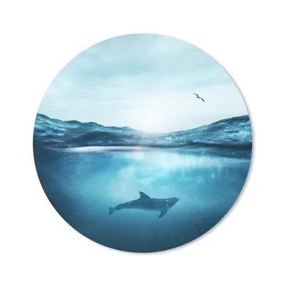 Produktbild von MuchoWow® Mauspad Mousepad Delfin - Meer - Vogel 40x40 cm - Mousepads - Maus Mat - Pad - Mausunterlage - Schreibtisch Accessoires