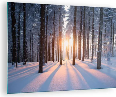 Produktbild von Bilder auf glas - Wald Winter Schnee - 70x50cm - Glasbilder - Wandbilder - Kunstdruck - zum Aufhängen bereit - Wanddekoration aus Glas - Glas Bilder - Wandbild auf Glas - Einteilig - GAA70x50-3629
