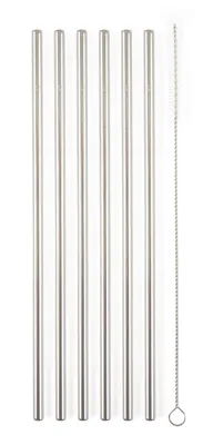 Image de Pailles en métal G21 BeEco Classic 6 pièces argentées, droites + brosse de nettoyage