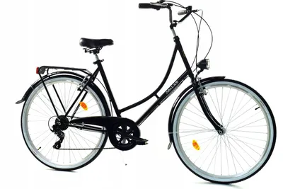 Zdjęcie produktu dla Rower Dallas Holland City 28" 7spd Damka - czarny
