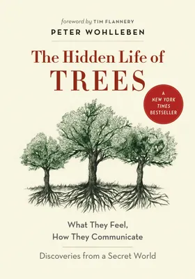 Produktbild von Hidden Life Of Trees – Lingua: Inglese