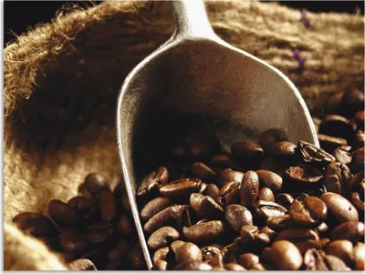 Produktbild von ARTland Wandbild Alu für Innen & Outdoor Kaffee Größe: 80x60 cm