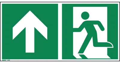 Image de Hinweisschild Notausgang geradeaus ISO 7010 300x150mm PVC