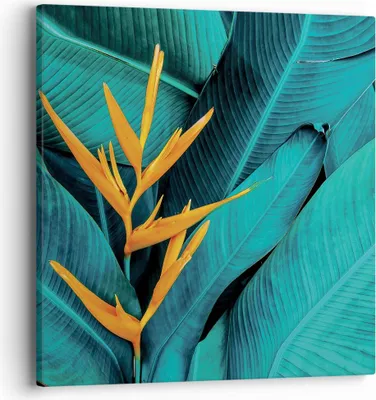 Produktbild von Bild auf Leinwand - Leinwandbild - Einteilig - Blumen Tropen Blätter - 40x40cm - Wand Bild - Wanddeko - Wandbilder - Leinwanddruck - Bilder - Wanddekoration - Leinwand bilder - Wandbild - AC40x40-5116