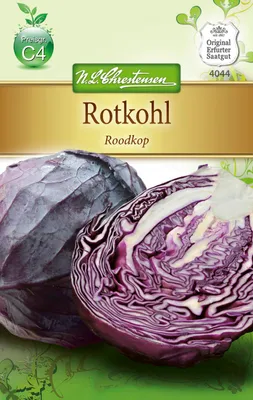 Produktbild von Rotkohl Roodkop | Rotkohlsamen von N.L. Chrestensen