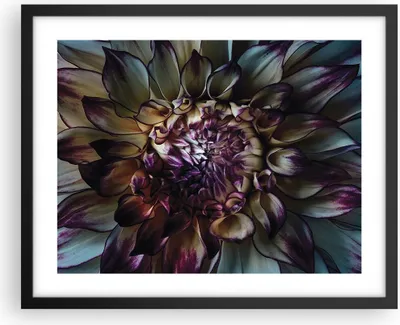 Produktbild von Gerahmtes Poster - Schwarzer Rahmen - Blätter Agave Blume - 50x40 cm - Wand Bild - Wanddeko - Wandbilder - Kunstposter - Wandposter - Bilderrahmen - Bilder - Kunstdruck - P2BAA50x40-5122