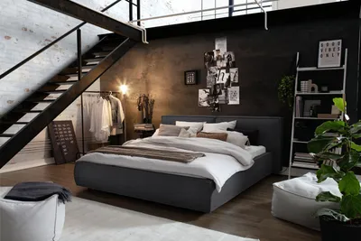 Produktbild von KAWOLA Bett CARLO Polsterbett Stoff dunkelgrau 160x200cm
