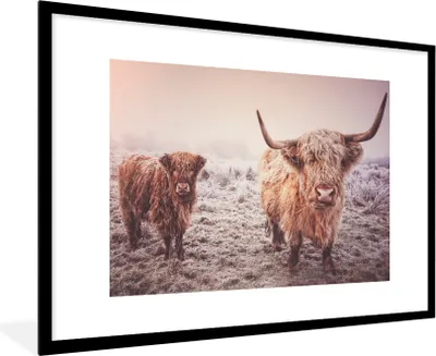 Produktbild von MuchoWow® Gerahmtes Poster Schottische Hochlandbewohner - Licht - Himmel - Natur 90x60 cm - Poster mit Schwarzem Bilderrahmen Wandposter Rahmen Foto Bilder - Wanddekoration - Fotos