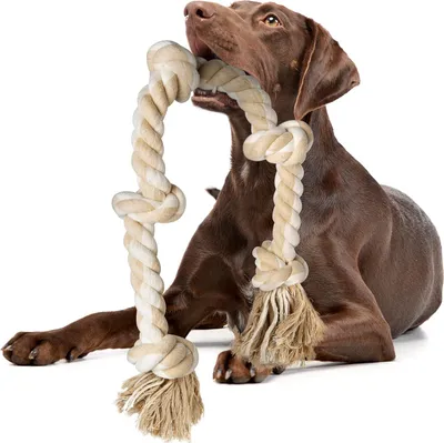 Produktbild von Hundespielzeug aus Seil für aggressive Kauer, interaktives, robustes Hundespielzeug für mittelgroße und große Hunde, robustes gedrehtes Seilspielzeug mit 5 Knoten
