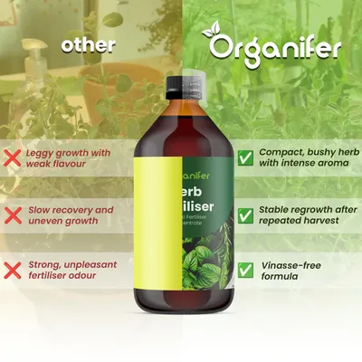 Produktbild von Kräuter Flüssigdünger 5x1L – 3-4-3 NPK – Flüssig-Pflanzendünger für Kräuter in Garten, Hochbeet & Töpfen – Organifer