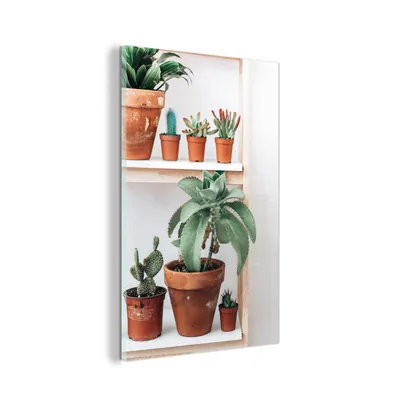 Obrázok produktu pre MuchoWow® Sklenené obrazy - Obrazy na stenu - Foto na skle Kaktusy na poličke 40x60cm Nástenná dekorácia zo skla - akrylový sklenený obraz - akrylové obrazy