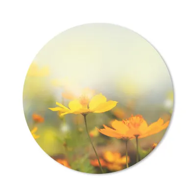 Produktbild von MuchoWow® Mauspad Mousepad Blumen - Landschaft - Gelb 30x30 cm - Mousepads - Maus Mat - Pad - Mausunterlage - Tischunterlage - Schreibtischmatten