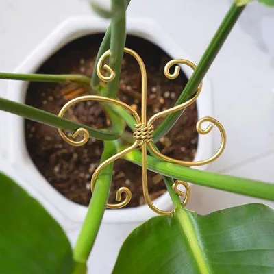 Produktbild von Famanu Pflanzenstütze Set aus 4 stabilen Haltern für gesunde Monstera-Pflanzen