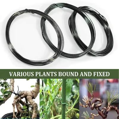 Immagine prodotto di Filo per bonsai - P0028 - Alluminio anodizzato - Diametro 2,5 mm - Lunghezza 10 m - Per la creazione di composizioni con piante