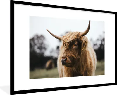 Produktbild von MuchoWow® MuchoWow® Gerahmtes Poster Schottisches Hochlandrind - Tiere - Hörner 90x60 cm - Poster mit zchwarzem Bilderrahmen - Wanddekoration - Fotos