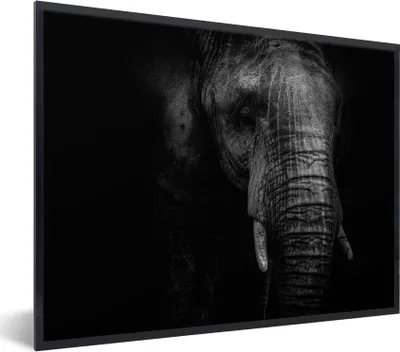 Produktbild von MuchoWow® MuchoWow® Gerahmtes Poster Elefant auf schwarzem Hintergrund in schwarz und weiß 80x60 cm - Poster mit zchwarzem Bilderrahmen - Schwarzem - Mit Gestell