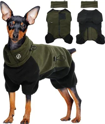 Productafbeelding van Hondenpyjama - Hondentrui - Hondenkleiding - Hondenpyjama - Nachthemd voor honden