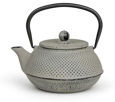Immagine prodotto di Bredemeijer Group Teekanne Jang 0.8l Gusseisen grau+ Filter 153022