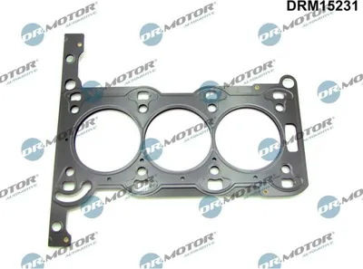 Produktbild von DR.MOTOR AUTOMOTIVE DRM15231 Zylinderkopfdichtung für OPEL Corsa C Schrägheck (X01) Corsa B Schrägheck (S93) AGILA (A) (H00) für VAUXHALL