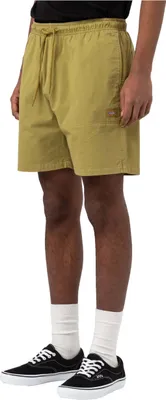 Produktbild von Shorts Dickies DK0A4XB2C321 für Herren