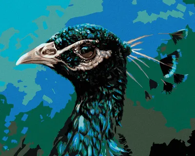 Produktbild von Zuty - Malen nach Zahlen - PROFIL VOM PFAU, 40x50 cm, ohne Keilrahmen
