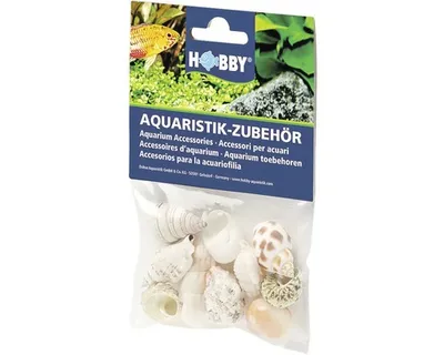 Obrázok produktu pre Akváriová dekorácia Hobby ulity morských ulít Sada ulít M 10 kusov