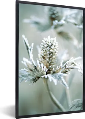 Produktbild von MuchoWow® MuchoWow® Gerahmtes Poster Blume - Grün - Eiscreme 20x30 cm - Poster mit zchwarzem Bilderrahmen - Drucken - Bilder Poster im Rahmen