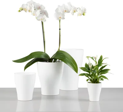 Produktbild von Scheurich 608/22 Pflanzgefaess Panna; 16 cm x 16 cm x 22 cm, 47908