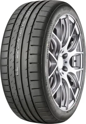 Immagine prodotto di Gripmax Suregrip Pro Sport 255/40R19 100Y Bsw Xl