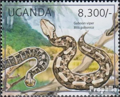 Produktbild von Briefmarken Uganda 2012 Mi 2784 (kompl.Ausg.) postfrisch Reptilien
