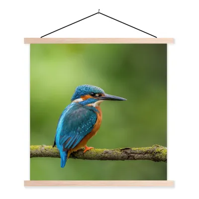Produktbild von MuchoWow® Textilposter Eisvogel - Zweig - Moos - Vogel - Grün 120x120 cm mit holzfarbenen Rahmen - Textil-Poster