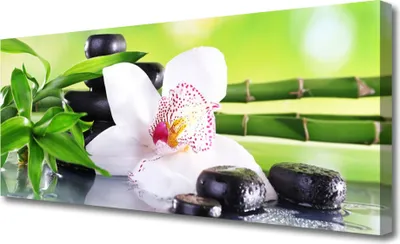 Produktbild von Tulup Leinwand-Bilder 125x50 Wandbild Canvas Kunstdruck Bambusrohre Blume Steine
