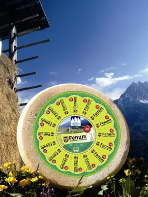 Immagine prodotto di Formaggio Fenum intero circa 1,6 kg. - Caseificio Tre Cime