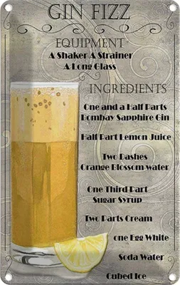 Produktbild von vianmo Blechschild 18x12 cm Gin Fizz Equipment ingredients