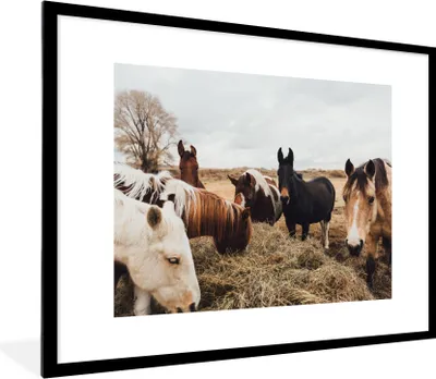 Produktbild von MuchoWow® Gerahmtes Poster Tiere - Pferd 80x60 cm - Poster mit Schwarzem Bilderrahmen Wandposter Rahmen Foto Bilder - Schlafzimmer-Dekorationen - Fotoposter