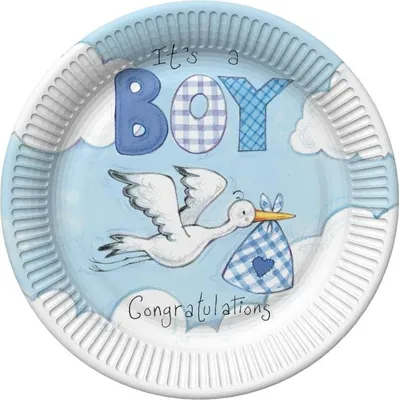 Produktbild von 8 Papp Teller Baby Storch Blau
