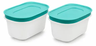 Produktbild von TUPPERWARE Gefrier-Behälter Eiskristall 170 ml (2) minze-weiß